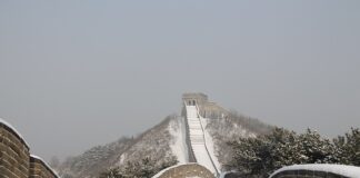 Co przyciąga uwagę użytkowników?