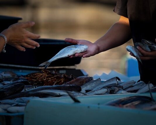 Jak dobrze sprzedawać door to door?
