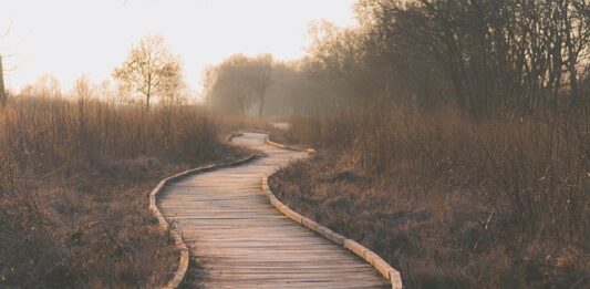 Jak zbudować ścieżkę kariery?