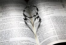 Co to jest dobry PR?