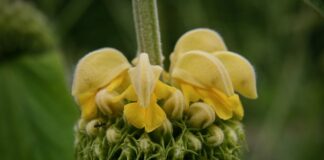 Co to brand identity? Co to brand identity?