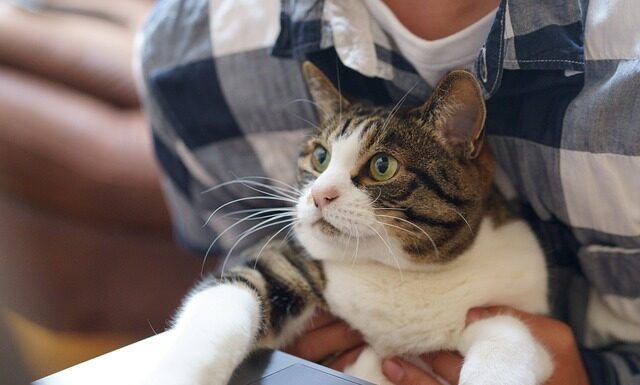 Czy pracodawca musi wdrożyć pracę zdalną?