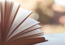 Ile kosztuje zrobienie prostej strony internetowej?