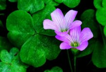 Co zrobić aby przyciągnąć klientów? Co zrobić aby przyciągnąć klientów?