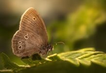 Czy Hit jest w 3 klasie liceum? Czy Hit jest w 3 klasie liceum?