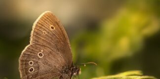 Czy Hit jest w 3 klasie liceum?