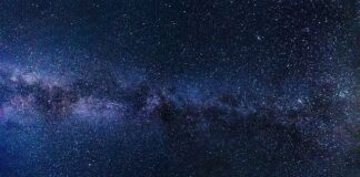 Ile kosztuje system identyfikacji wizualnej?