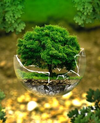 Jak osiągnąć równowagę wewnętrzna?