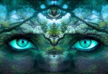 Czy mozg tworzy świadomość? Czy mozg tworzy świadomość?