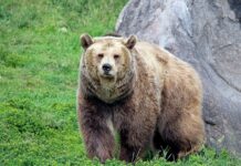 Po czym poznać że chce się spotkać? Po czym poznać że chce się spotkać?