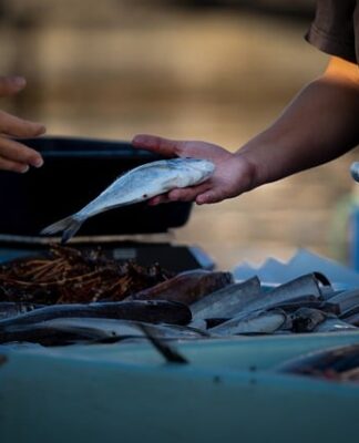 Czy można sprzedawać na blogu?